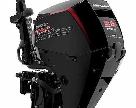 EFI Tiller ProKicker Outboard Motor 25 Shaft