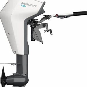 Mercury Avator